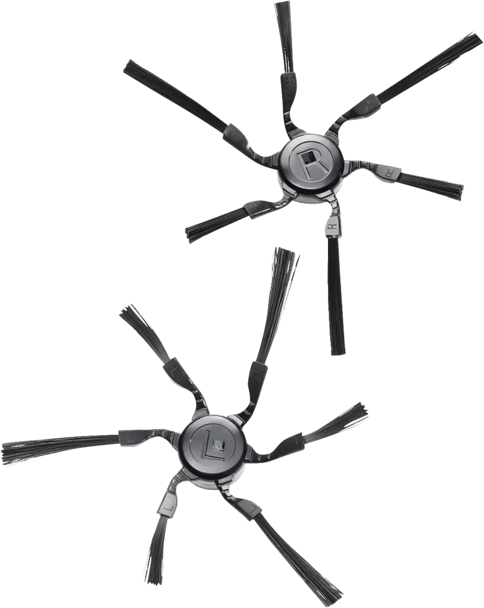RX2-SB 2 Zijborstels