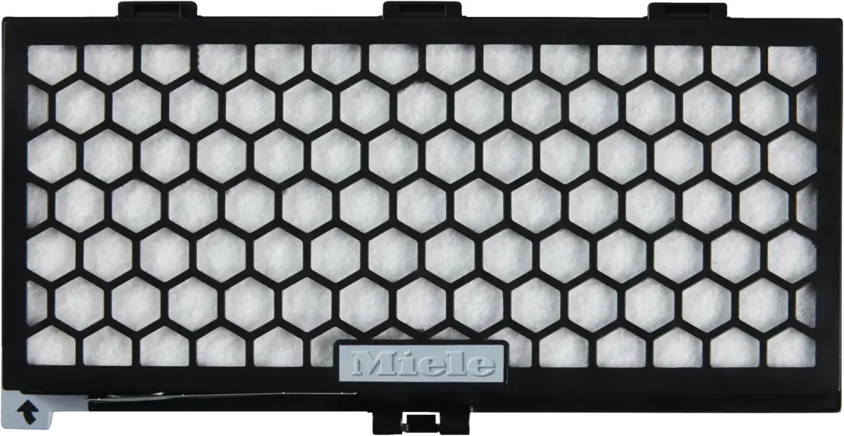 SF-AA30 Active AirClean Filter