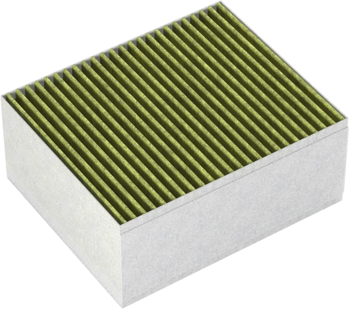 LZ31XXB16 cleanAir Plus AntiAllergeen/AntiFish filter wand