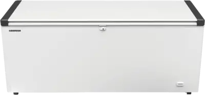 Liebherr EFL 6055-21