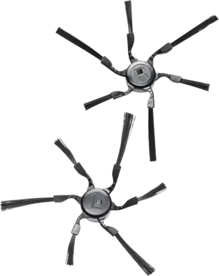 RX2-SB 2 Zijborstels