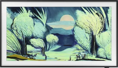 Samsung F-QE43LS03FAUX