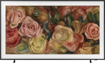 Samsung QE55LS03DAUXXN