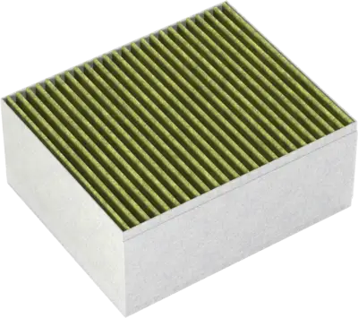 LZ31XXB16 cleanAir Plus AntiAllergeen/AntiFish filter wand